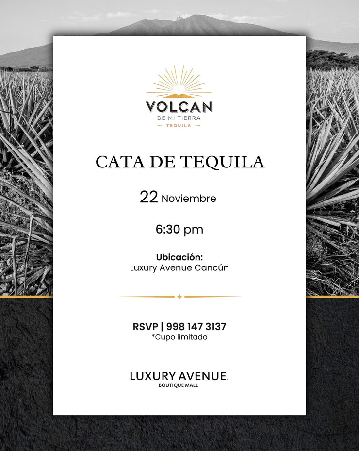 Explora la Tradición de Tequila Volcán de Mi Tierra: Cata de Sabores Únicos